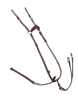 Collier de chasse élastique